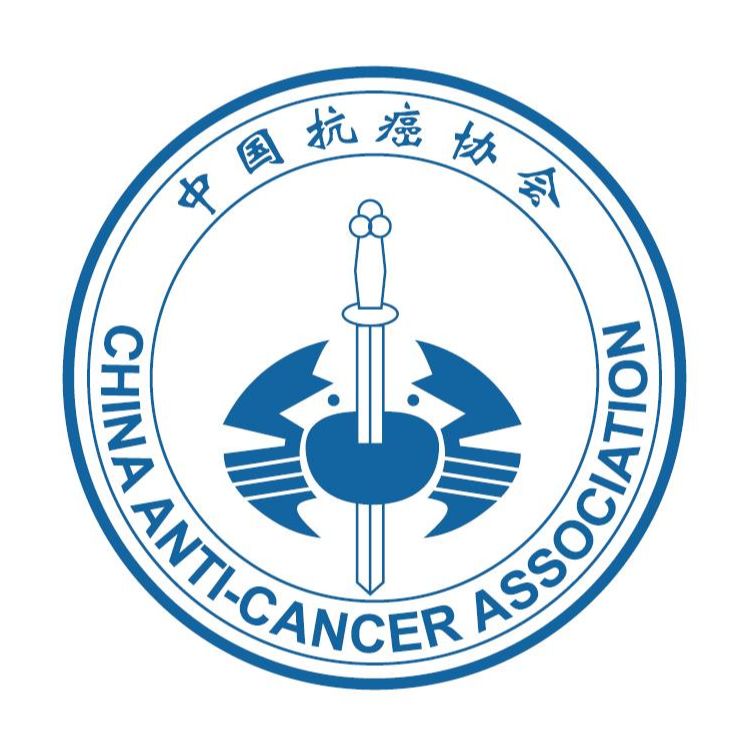 百度体育